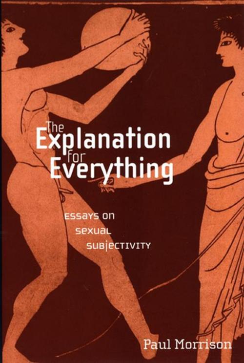 Cover of the book The Explanation For Everything by Paul Morrison, NYU Press