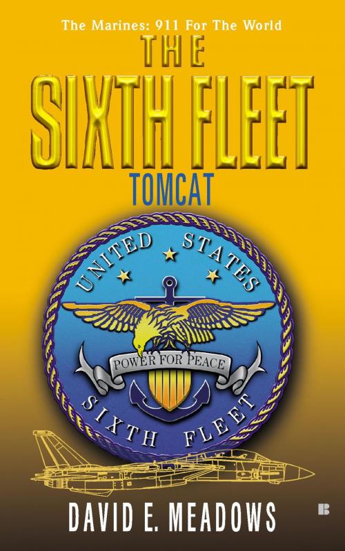 Cover of the book The Sixth Fleet: Tomcat by David E. Meadows, Penguin Publishing Group