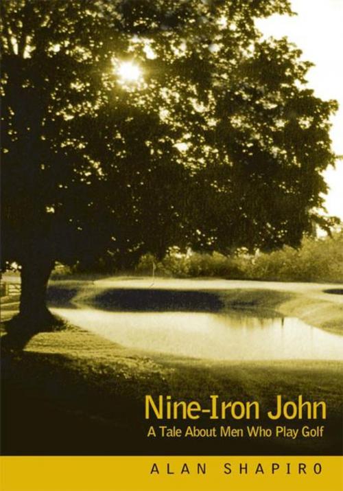 Cover of the book Nine-Iron John by Alan Shapiro, iUniverse