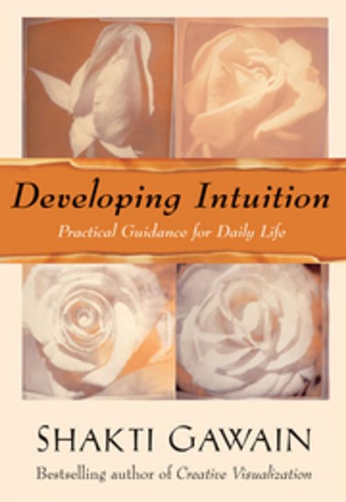 Cover of the book Developing Intuition by Shakti Gawain, New World Library