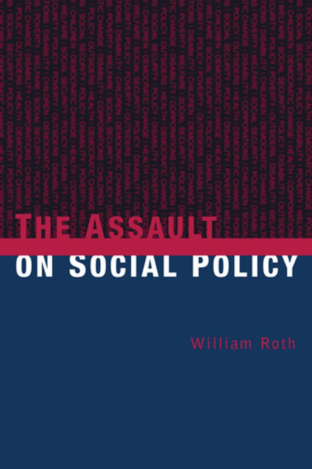 Big bigCover of The Assault on Social Policy