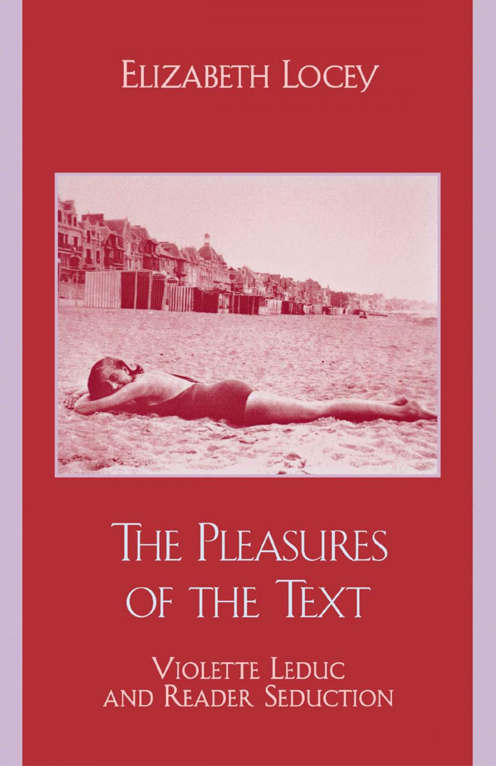 Big bigCover of The Pleasures of the Text