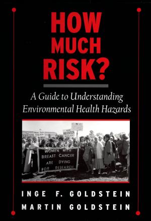 Cover of the book How Much Risk? by Dr. Jill Timmons