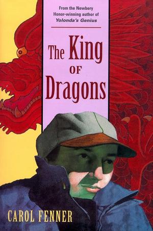 Cover of the book The King of Dragons by Erin Bow
