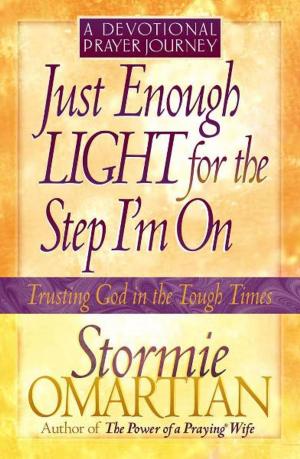 Cover of the book Just Enough Light for the Step I'm On--A Devotional Prayer Journey by Vannetta Chapman