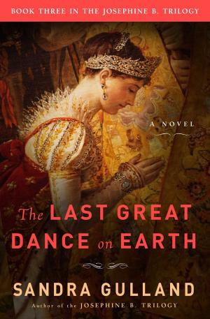 bigCover of the book The Last Great Dance on Earth by 