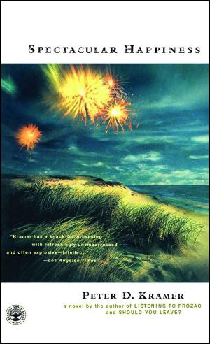 Cover of the book Spectacular Happiness by Stephen King