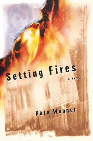 Cover of the book Setting Fires by Dee Brown