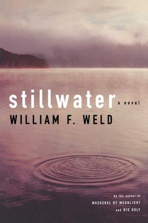 Cover of the book Stillwater by George Foreman, Kathryn Kellinger