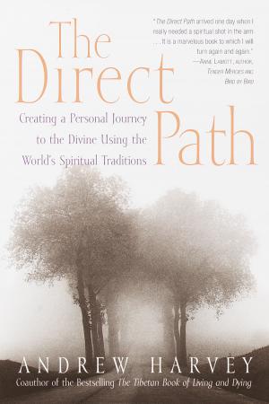 Book cover of The Direct Path