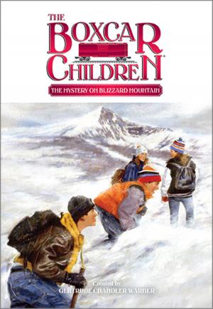Cover of the book The Mystery on Blizzard Mountain by Rebecca O'Connell, Susie Poole