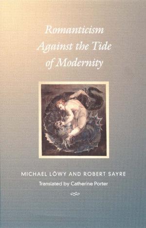 Cover of the book Romanticism Against the Tide of Modernity by Christopher Lane