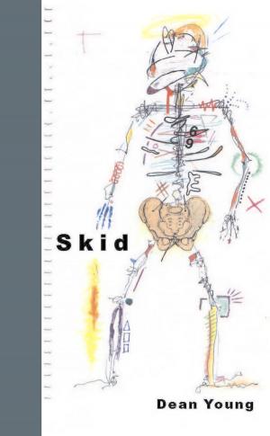 Cover of the book Skid by Stephen Case