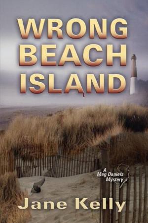 Cover of the book Wrong Beach Island (A Meg Daniels Mystery) by Paul Evans Pedersen Jr., Jodi Weiss Pedersen
