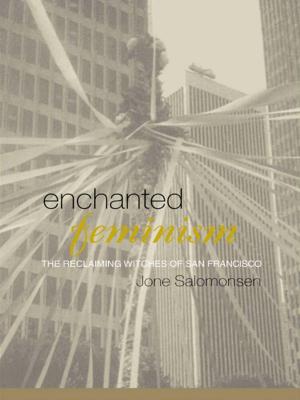Cover of the book Enchanted Feminism by David Burnley