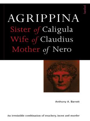 Cover of the book Agrippina by Peter R. Schmidt