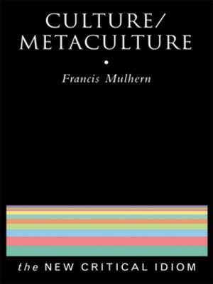 Cover of the book Culture/Metaculture by Massimo Ragnedda