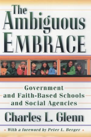 Cover of the book The Ambiguous Embrace by Richard A. Ippolito