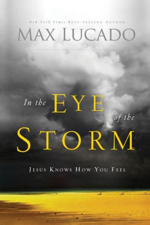 Cover of the book In the Eye of the Storm by Julie Roberts, Ken Abraham