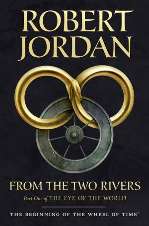 Cover of the book From The Two Rivers by Jon Land, Fabrizio Boccardi