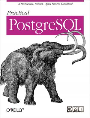 Book cover of Practical PostgreSQL