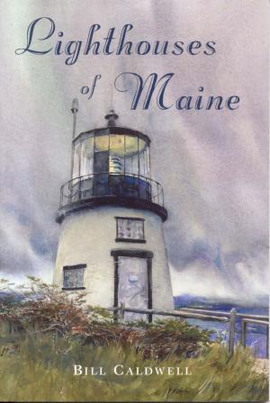 Cover of the book Lighthouses of Maine by Chad Mason