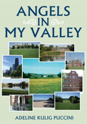Cover of the book Angels in My Valley by Fariba Nazari