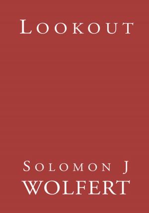Book cover of Lookout