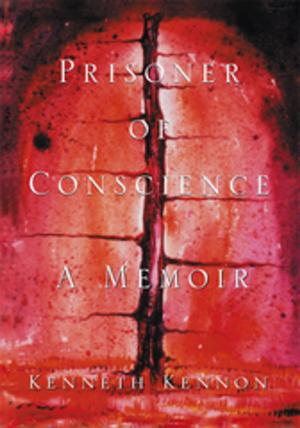 Cover of the book Prisoner of Conscience by Joshua Higginbotham