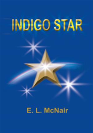 Cover of the book Indigo Star by John C. Murphy