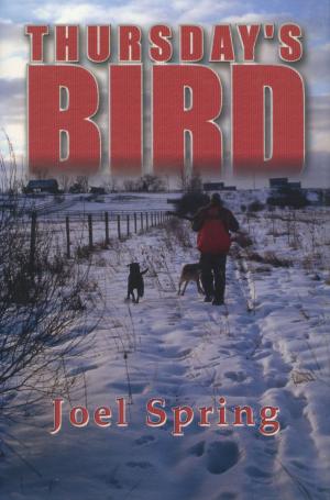 Cover of the book Thursday's Bird by Sten Cedergren