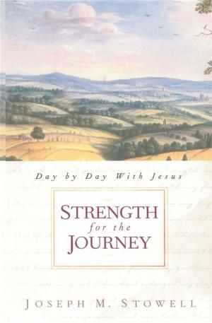 Cover of the book Strength for the Journey by Dan Stanford