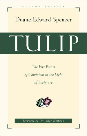 Book cover of Tulip