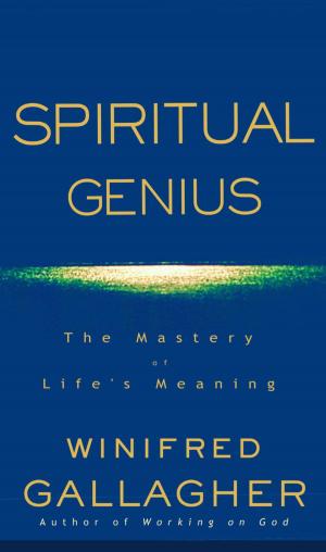 Cover of the book Spiritual Genius by Bhabotosh Chakraborty