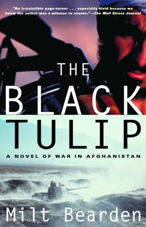 Cover of the book The Black Tulip by Veit Heinichen
