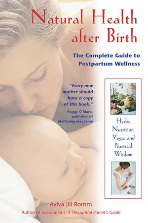 Book cover of Natural Health after Birth