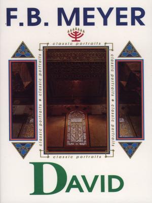 Cover of the book David by Charles  Jefferson