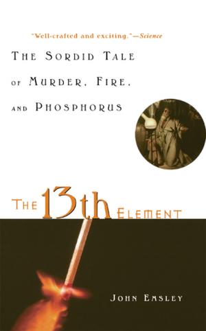 Cover of the book The 13th Element by Michael Paymar, MPA