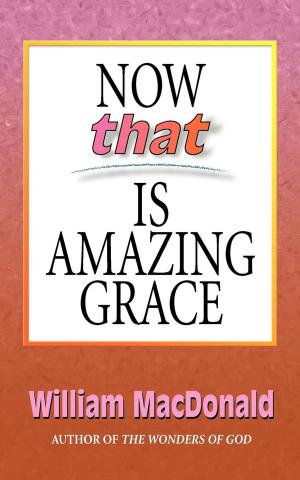 Cover of the book Now that Is Amazing Grace by Anne A. Sears