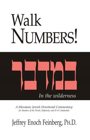 Cover of the book Walk Numbers by Dr. Jeffrey L. Seif