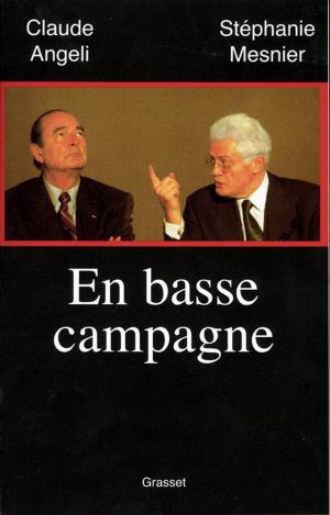 Cover of the book En basse campagne by Laetitia Colombani