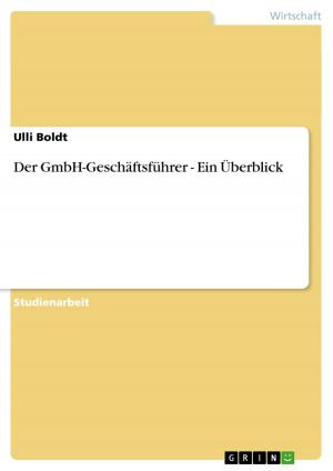 Cover of the book Der GmbH-Geschäftsführer - Ein Überblick by Boris-Nicolai Mester