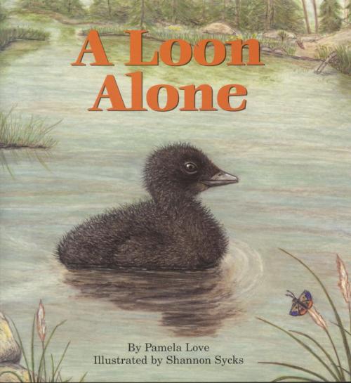 Cover of the book A Loon Alone by Pamela Love, Down East Books