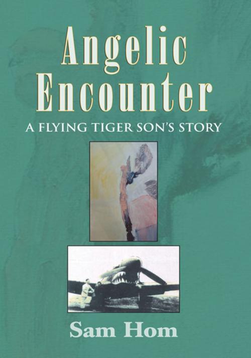 Cover of the book Angelic Encounter by Sam Hom, Xlibris US