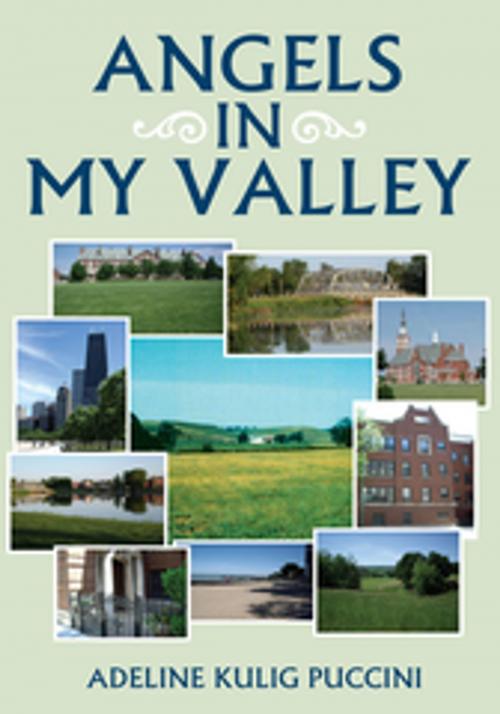 Cover of the book Angels in My Valley by Adeline Kulig Puccini, Xlibris US