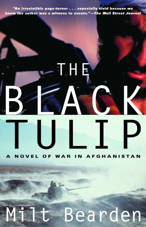 Cover of the book The Black Tulip by Milton Bearden, Random House Publishing Group