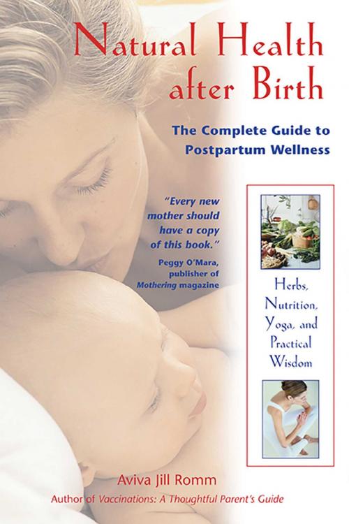 Cover of the book Natural Health after Birth by Aviva Jill Romm, Inner Traditions/Bear & Company