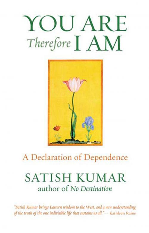 Cover of the book You Are Therefore I Am by Satish Kumar, UIT Cambridge Ltd.