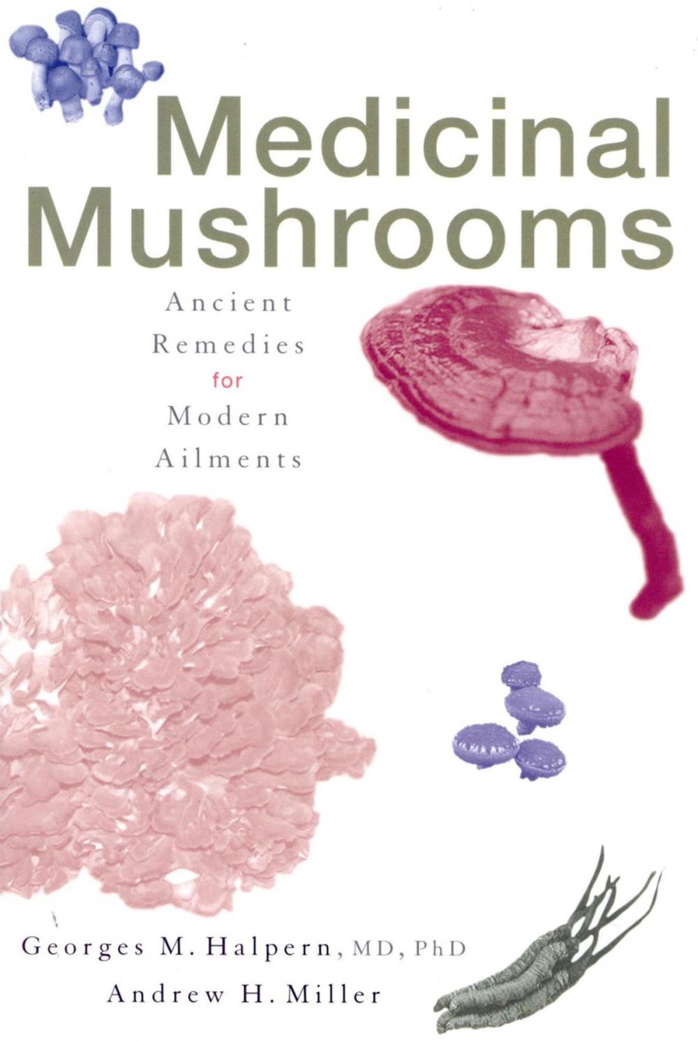 Big bigCover of Medicinal Mushrooms