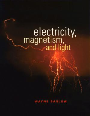 Cover of the book Electricity, Magnetism, and Light by Geoffrey M. Gadd, Sima Sariaslani